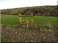 Stile on footpath through grazing fields