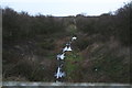 Looking towards Cotham along the disused railway trackbed from Cotham Station