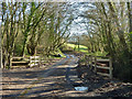 Small bridge on Ninevah Lane