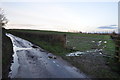 Sedgemoor : Country Lane