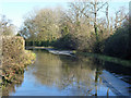 A wet spot on Tilsden Lane