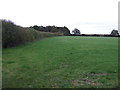 Farmland towards Forty Acre Plantation