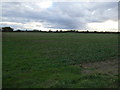 Farmland near Silk Willoughby