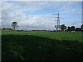 Farmland and pylon