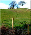 Westward from the far end of Well Lane, Llanvair Discoed