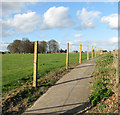 Footpath to Blundeston