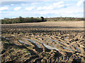 Fields by Blundeston Hall