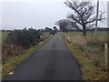 Minor road near Fearn