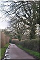 Mid Devon : Country Lane