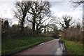 East Devon : Country Lane