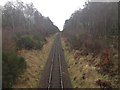 Railway line near Tain