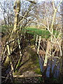 Footbridge over the Borle Brook