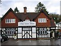 The Yew Tree