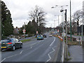 Middleton Boulevard, looking north from near Lime Tree Avenue