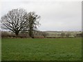 A wet day near Ivington