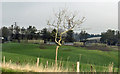 Farm buildings