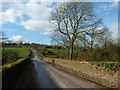 Mynachdy Bridge, near Llanddewi Rhydderch