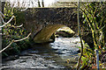 A bridge over the river Mole at Heasley Mill as seen from upstream