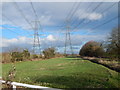 Pylons in Whitton  (looking towards Thurleston)