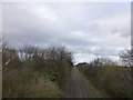 The Bootle Branch Line viewed from Lister Drive bridge