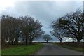 Burridge Moor Cross