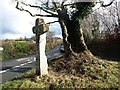 Hollowed tree and stone cross at Hawson Cross