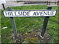 Hillside Avenue sign