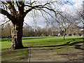 Radford Recreation Ground