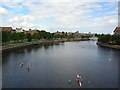 Rowers on the Tees