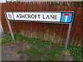 Ashcroft Lane (dead end)