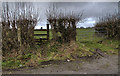 Stile and Gate off Brook Lane