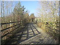 Approach to footbridge over A27