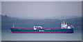 J4886 : The 'Nord Snow Queen' in Belfast Lough by Rossographer
