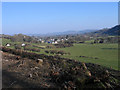 Fields west of New Radnor