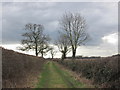 SE5246 : Bridleway south of Moor Cottage by John Slater