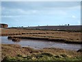SY0781 : Wetlands and walkers at the mouth of the River Otter by David Smith