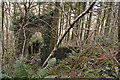 Remains of a building at Herodscoombe Mines, Herodsfoot