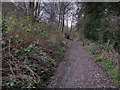 Bridleway leading to Apperley Bridge