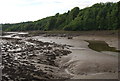 SM9701 : Pembroke River Estuary by N Chadwick