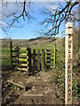 Footpath to Lose Hill from Castleton