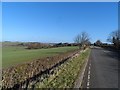 Minor road into Stagsden