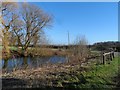 Small pond in bend of road