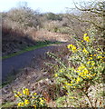 Robin Hood Way, Hucknall Aerodrome Vicinity, Notts.