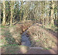 Bulwell Hall Park Fish Ponds Vicinity, Bulwell, Notts.