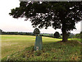 Birkby Hill Ordnance Survey Trig Pillar