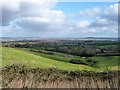 View from slopes of Muswell Hill