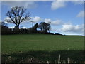 Farmland, Kimpton Bottom