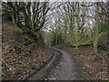 Buck Mill Lane near Thackley End