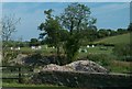 Jumps at the Tullymurray Equestrian Centre on Ballydugan Road