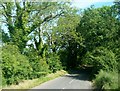 Lake Road, near Ballydugan Mill